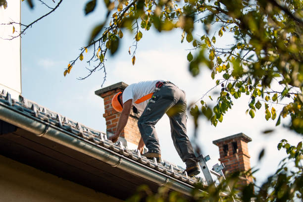 Roof Gutter Cleaning in Kaufman, TX