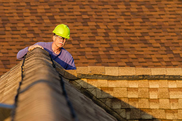 Best Roof Gutter Cleaning  in Kaufman, TX
