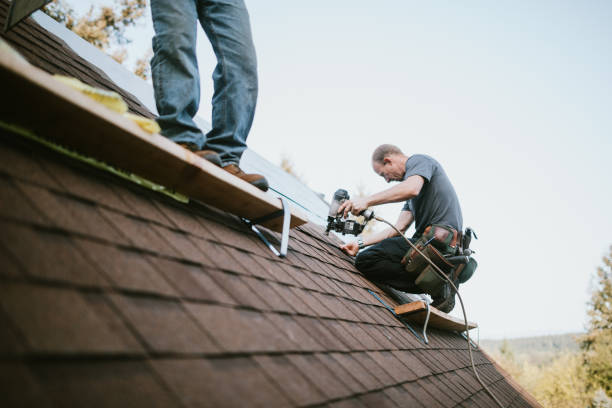 Best Storm Damage Roof Repair  in Kaufman, TX