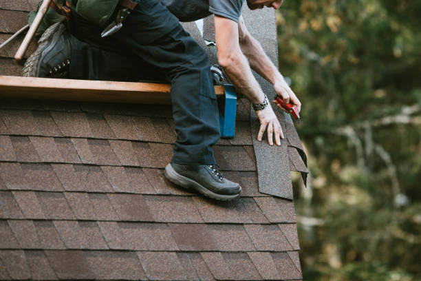 Best Roof Gutter Cleaning  in Kaufman, TX